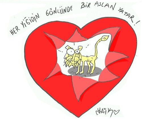 Cartoon: Election in Turkey (medium) by yasar kemal turan tagged election,in,turkey