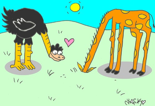 Cartoon: friends (medium) by yasar kemal turan tagged friends,ostrich,giraffe,love