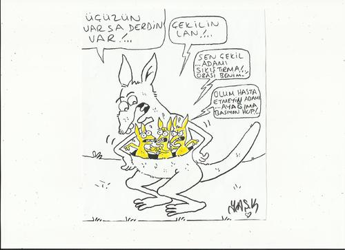 Cartoon: kangaroo (medium) by yasar kemal turan tagged kangaroo
