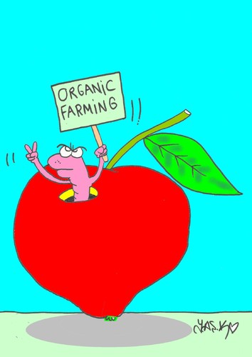 Cartoon: organic (medium) by yasar kemal turan tagged worm,founded,apple,farming,organic