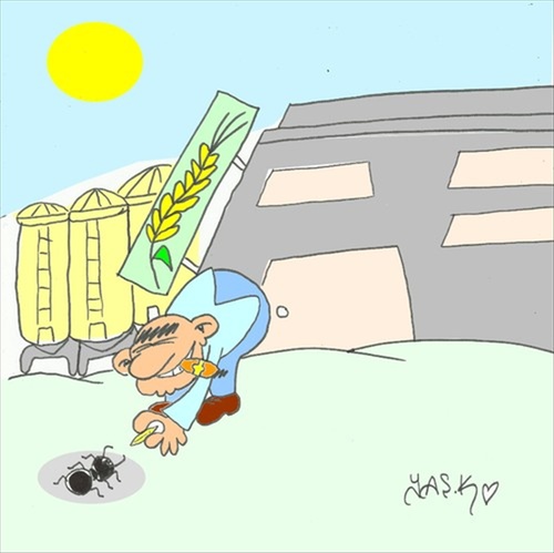 Cartoon: selfish (medium) by yasar kemal turan tagged ant,boss,selfish,wheat