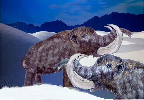 Cartoon: 2 Mammuttchen (medium) by Lutz-i tagged mammuts