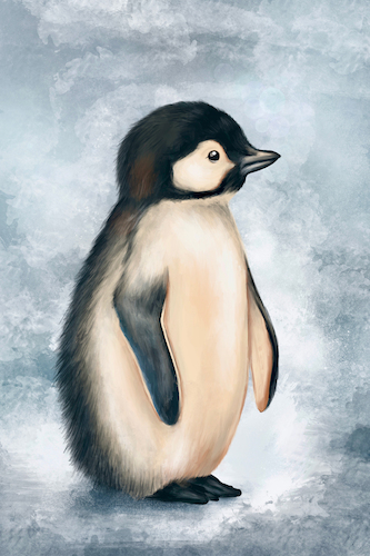 Cartoon: Pinguin (medium) by alesza tagged penguin,illustration,drawing,nature,antarctica,antarctic,cold,ice,winter,bird,ipad,procreate,digitalart,digitalpainting,painting
