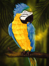Cartoon: Ara (small) by alesza tagged ara parrot bird animal jungle nature colorful yellow blue beak painting illustration ipadart procreate