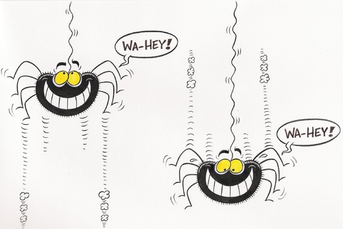 Cartoon: Bungee spider (medium) by fieldtoonz tagged spider,bungey