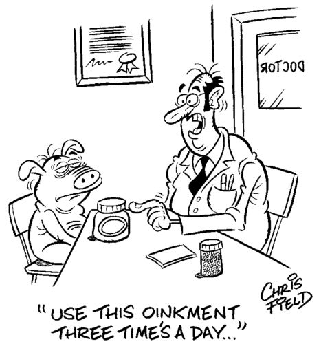 Cartoon: oinkment (medium) by fieldtoonz tagged doctor,pig,medicine,cream
