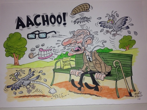 Cartoon: AACHOO! (medium) by fieldtoonz tagged oldman,park,sneeze,pidgeons