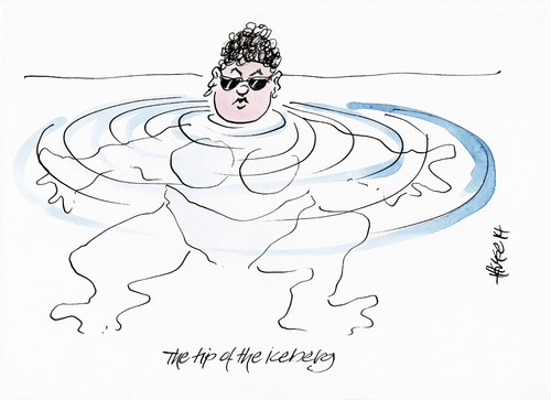 Cartoon: Tip Of The Iceberg (medium) by helmutk tagged nature