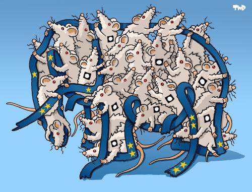 Cartoon: European elections II (medium) by Tjeerd Royaards tagged eu,europe,european,union,elections,parliament,democracy,eu,europa,maus,mäuse,chaos,parlament,europawahl,wahl,wahlen
