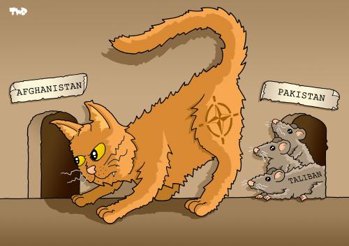 Cartoon: Taliban moves to Pakistan (medium) by Tjeerd Royaards tagged pakistan,taliban,afghanistan,illustration,illustrationen,pakistan,taliban,afghanistan,terror,terrorismus,islam
