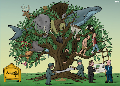 Cartoon: Tree of life (medium) by Tjeerd Royaards tagged nature,life,humans,evolution,greed,money
