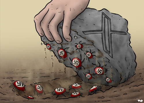 Cartoon: X (medium) by Tjeerd Royaards tagged twitter,extreme,right,elon,musk,nazis,twitter,extreme,right,elon,musk,nazis