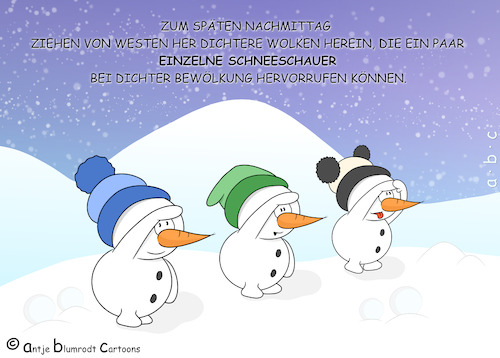 Schneeschauer