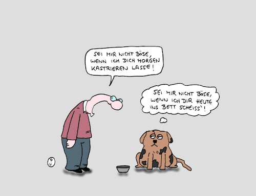 Cartoon: Heute und morgen (medium) by CartoonMadness tagged hund,herrschen,kastrieren,bett,unrat