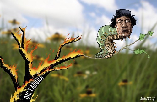 Cartoon: El gran final (medium) by JAMEScartoons tagged caricatura,carton,gaddafi,maummar