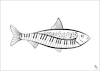 Cartoon: Fisch - Royale (small) by Back tagged fisch,fauna,cartoon