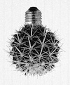 Cartoon: no title (small) by chakhirov tagged cactus,bulb