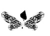 Cartoon: no title (small) by chakhirov tagged butterfly