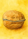 Cartoon: no title (small) by chakhirov tagged nut