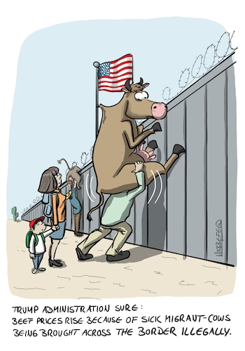 Cartoon: Sick Illegal Cows (medium) by SandraNabbefeld tagged cartoon,illustration,humor,humour,satire,politics,trump,trumpadministration,usa,republicans,beef,price,prices,beefprices,illegal,migrants,border,sick,cow,cows,cattle,sandranabbefeld,nabbefeldcartoon,cartoonlobby,rheinischehumorverwaltung,cartoon,illustration,humor,humour,satire,politics,trump,trumpadministration,usa,republicans,beef,price,prices,beefprices,illegal,migrants,border,sick,cow,cows,cattle,sandranabbefeld,nabbefeldcartoon,cartoonlobby,rheinischehumorverwaltung