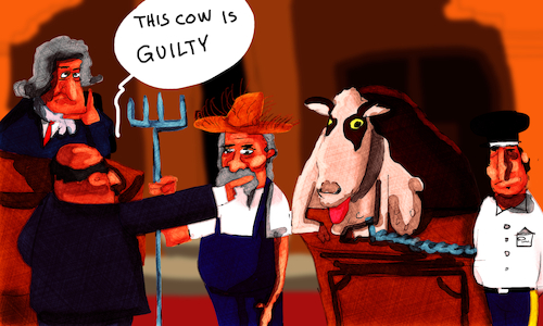 Cartoon: the guilty crazy cow (medium) by sal tagged cartoon,crazy,cow,guilty