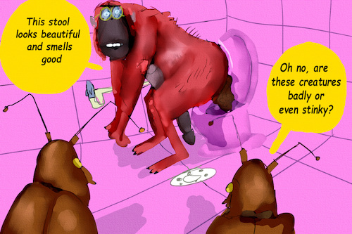 Cartoon: THE NOUGHTY MONKEY SHORT STORY (medium) by sal tagged cartoon,monkey,noughty
