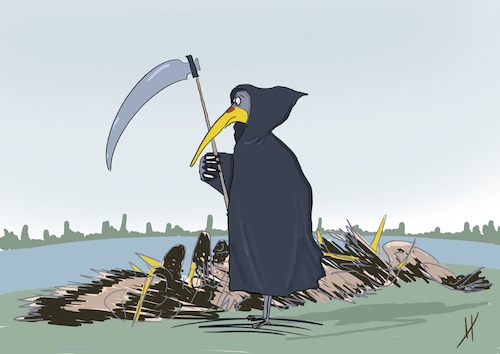 Vogelgrippe Vogelgrippe