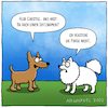 Cartoon: Spitzname des Spitzes (small) by Arghxsel tagged hunde,katzen,haustier,hundeleine,gassi,gehen,meerschweinchen,hamster,baum,markieren,futter,treu,niedlich,bester,freund,des,menschen,spitz,dackel,dogge,schäferhund,terrier