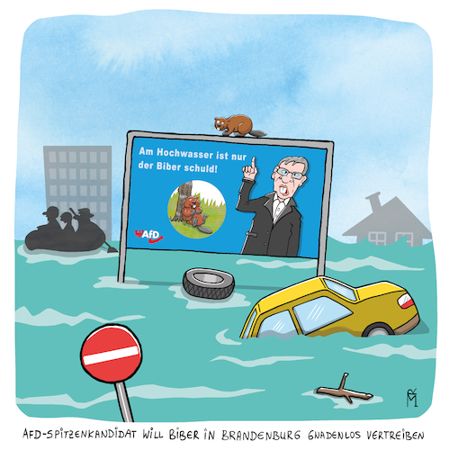 Cartoon: Hochwasser (medium) by Rebecca-Meyer tagged afd,politiker,hochwasser,brandenburg,biber,gnadenlos,vertreiben,wahl,folgen,der,flut,krisenstäbe,in,alarmbereitschaft,spitzenkandidat,hans,christoph,berndt,erderwärmung,höhere,pegelstände,weggetrieben,bisamratten,katastrophenschutz,afd,politiker,hochwasser,brandenburg,biber,gnadenlos,vertreiben,wahl,folgen,der,flut,krisenstäbe,in,alarmbereitschaft,spitzenkandidat,hans,christoph,berndt,erderwärmung,höhere,pegelstände,weggetrieben,bisamratten,katastrophenschutz