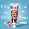 Cartoon: PRESI-Dent (small) by ArtyFicial tagged president,presi,dent,trump,white,smile,house,47