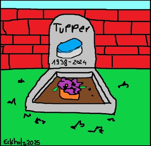 Cartoon: Das Ende von Tupper (medium) by SMK tagged ende,insolvenz,verbot,konsum,tupperware,firma,unternehmen,usa,wirtschaft,friedhof