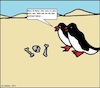 Cartoon: Glatt... (small) by SMK tagged glatt,glatteis,wüste,pinguine