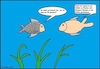 Cartoon: Du siehst ja komisch aus... (small) by Hobbyzeichner tagged fische,tümpel,antischuppenshampoo