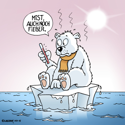 Armer Eisbär