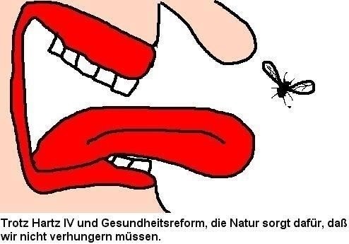 Cartoon: Natur... (medium) by Wutkritzler78 tagged natur,hunger,fliegen,insekten,armut,sozialhilfe,gesundheitsreform,gesellschaft,reform