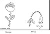Cartoon: Neurose - Altrose (small) by Stiftquäler78 tagged neurose,altrose,psyche,seele,leiden,wortspiel,sprache