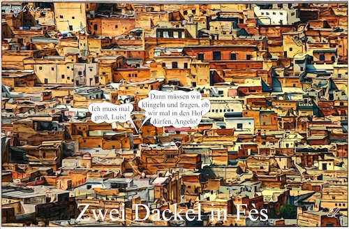 Cartoon: Fes (medium) by ChrisHolt tagged urbanisiert,dackelsicht