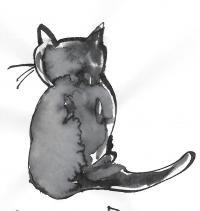 catricat's avatar