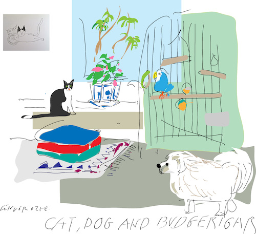 Cartoon: Cat Dog  Budgerigar (medium) by gungor tagged pets,pets