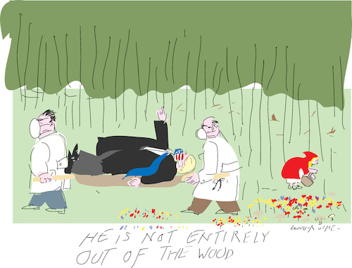 Cartoon: Out of the Wood (medium) by gungor tagged health,of,trump,health,of,trump