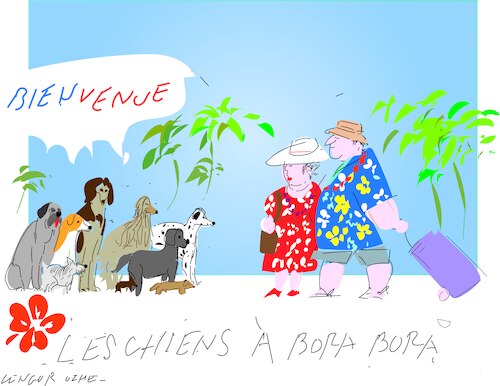 Cartoon: The dog population in Bora Bora (medium) by gungor tagged dogs,in,bora,dogs,in,bora