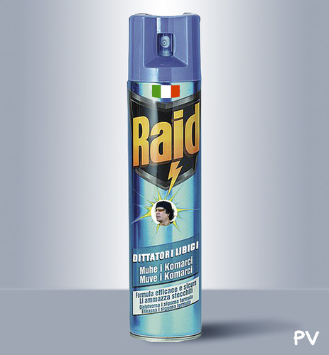 Cartoon: RAID spray (medium) by pv64 tagged raid,gheddafi,mission,war,pv