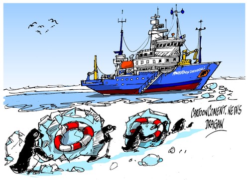 Cartoon: Akademik Shokalskiy (medium) by Dragan tagged akademik,shokalskiy,douglas,mawson,nueva,zelanda,explorador,expedicion,cartoon