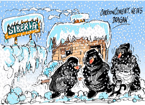 Cartoon: Siberia-pingüinos (medium) by Dragan tagged siberia,pingüinos,bajo,cero,antartida,cartoon