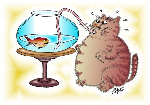 Cartoon: cats (medium) by johnxag tagged funny,eat,fish,vs,cat