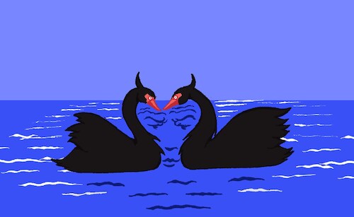 Cartoon: Black Swan... (medium) by berk-olgun tagged black,swan