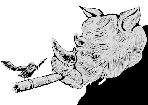Cartoon: Hitchcock the Rhino... (medium) by berk-olgun tagged hitchcock,the,rhino