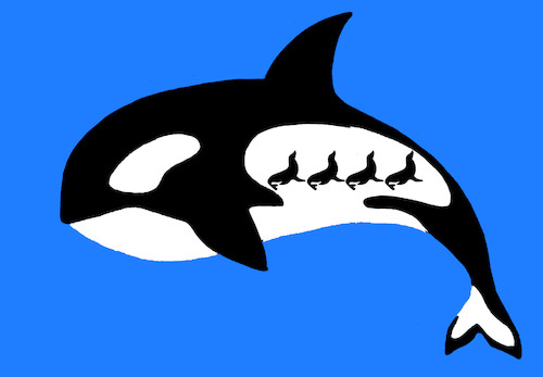 Cartoon: Killer Whale... (medium) by berk-olgun tagged killer,whale