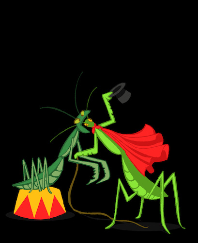 Cartoon: Praying Mantis... (medium) by berk-olgun tagged praying,mantis