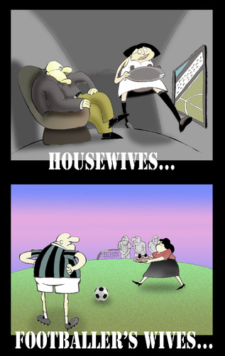 Cartoon: WIVES... (medium) by berk-olgun tagged wives